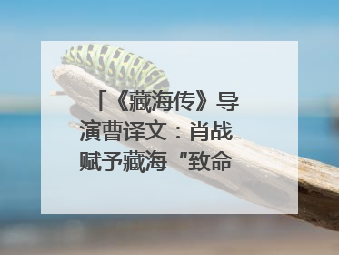 《藏海传》导演曹译文：肖战赋予藏海“致命”吸引力