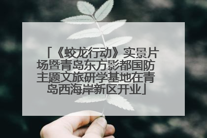 《蛟龙行动》实景片场暨青岛东方影都国防主题文旅研学基地在青岛西海岸新区开业