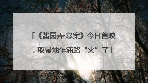 《酱园弄·悬案》今日首映，取景地乍浦路“火”了