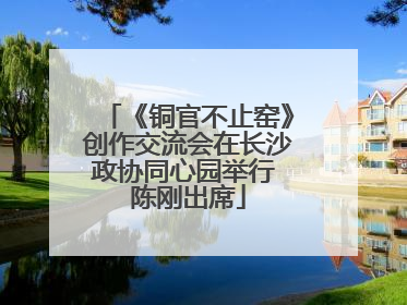 《铜官不止窑》创作交流会在长沙政协同心园举行 陈刚出席