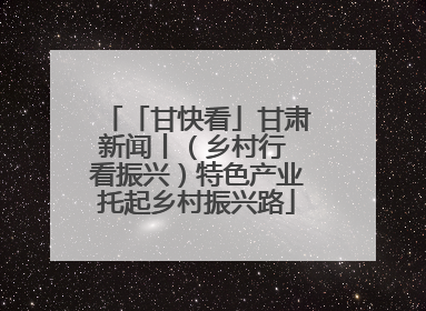「甘快看」甘肃新闻丨（乡村行 看振兴）特色产业托起乡村振兴路