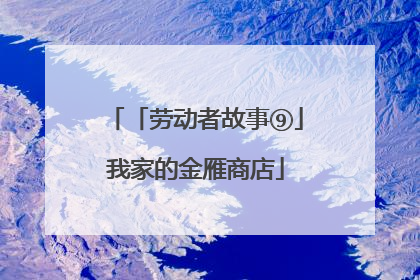 「劳动者故事⑨」我家的金雁商店