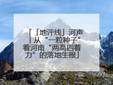 「地评线」河声丨从“一粒种子”看河南“两高四着力”的落地生根