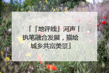 「地评线」河声丨执笔融合发展，描绘城乡共富美景