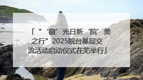 “‘徽’光日新‘皖’美之行”2025皖台基层交流活动启动仪式在芜举行