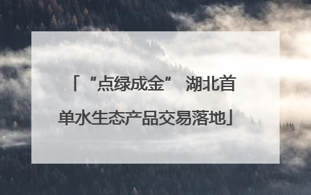 “点绿成金” 湖北首单水生态产品交易落地