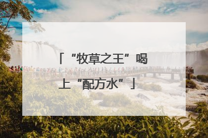 “牧草之王”喝上“配方水”