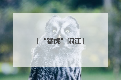 “猛虎”闹江