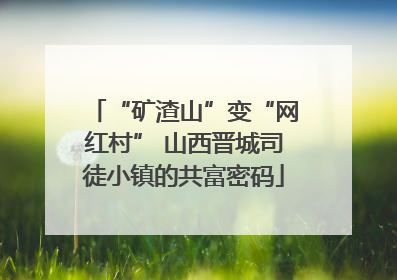 “矿渣山”变“网红村” 山西晋城司徒小镇的共富密码
