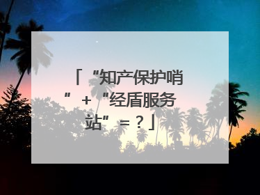 “知产保护哨”+“经盾服务站”=？