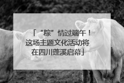 “粽”情过端午！这场主题文化活动将在四川蓬溪启幕
