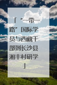 “一带一路”国际学员与西藏干部到长沙县湘丰村研学