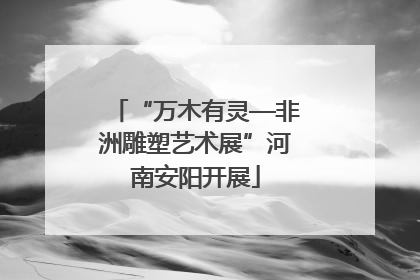 “万木有灵—非洲雕塑艺术展”河南安阳开展