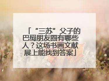 “三苏”父子的巴蜀朋友圈有哪些人？这场书画文献展上能找到答案