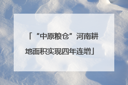 “中原粮仓”河南耕地面积实现四年连增