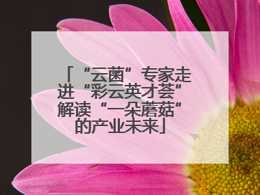“云菌”专家走进“彩云英才荟”解读“一朵蘑菇”的产业未来