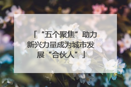 “五个聚焦”助力新兴力量成为城市发展“合伙人”