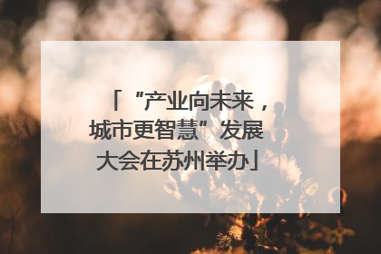 “产业向未来，城市更智慧”发展大会在苏州举办
