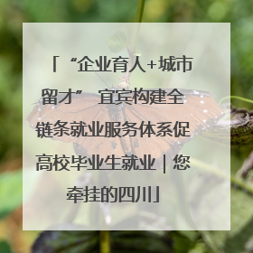 “企业育人+城市留才” 宜宾构建全链条就业服务体系促高校毕业生就业｜您牵挂的四川