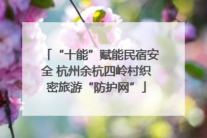 “十能”赋能民宿安全 杭州余杭四岭村织密旅游“防护网”