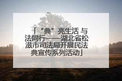 “典”亮生活 与法同行——湖北省松滋市司法局开展民法典宣传系列活动