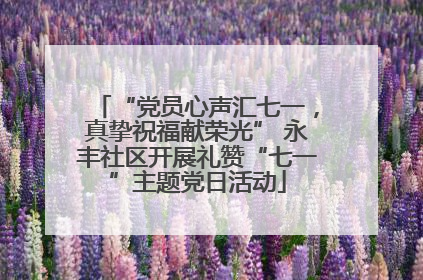“党员心声汇七一，真挚祝福献荣光” 永丰社区开展礼赞“七一”主题党日活动