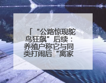 “公路惊现鸵鸟狂飙”后续：养殖户称它与同类打闹后“离家出走”，跑了1公里被找回