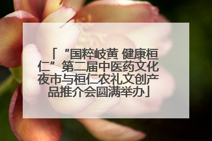 “国粹岐黄 健康桓仁”第二届中医药文化夜市与桓仁农礼文创产品推介会圆满举办