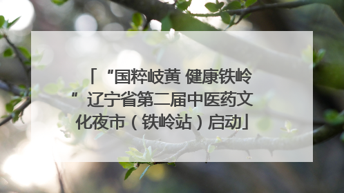 “国粹岐黄 健康铁岭”辽宁省第二届中医药文化夜市（铁岭站）启动