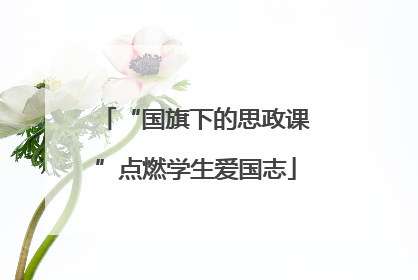 “国旗下的思政课”点燃学生爱国志