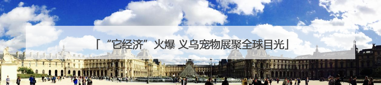 “它经济”火爆 义乌宠物展聚全球目光