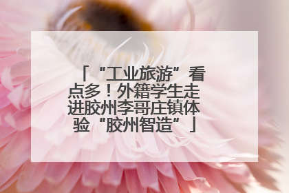 “工业旅游”看点多！外籍学生走进胶州李哥庄镇体验“胶州智造”