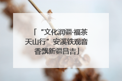 “文化润疆·福茶天山行”安溪铁观音香飘新疆昌吉