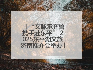 “文脉承齐鲁 携手赴东平” 2025东平湖文旅济南推介会举办