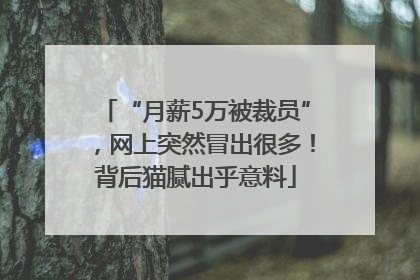 “月薪5万被裁员”，网上突然冒出很多！背后猫腻出乎意料