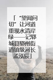 “望闻问切”让河道重现水清岸绿——记郓城县郓州街道镇级河长孟泓辰