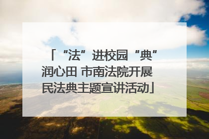 “法”进校园“典”润心田 市南法院开展民法典主题宣讲活动