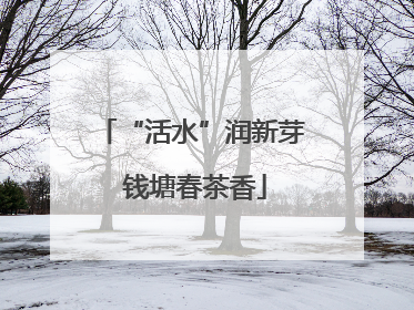 “活水”润新芽 钱塘春茶香