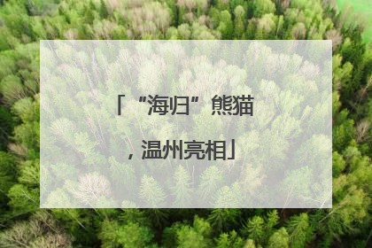 “海归”熊猫，温州亮相