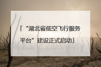 “湖北省低空飞行服务平台”建设正式启动