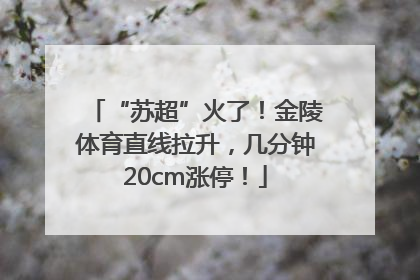 “苏超”火了！金陵体育直线拉升，几分钟20cm涨停！
