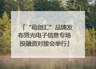 “葛创汇”品牌发布暨光电子信息专场投融资对接会举行