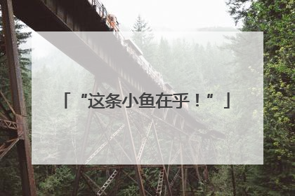 “这条小鱼在乎！”