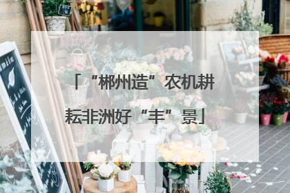 “郴州造”农机耕耘非洲好“丰”景