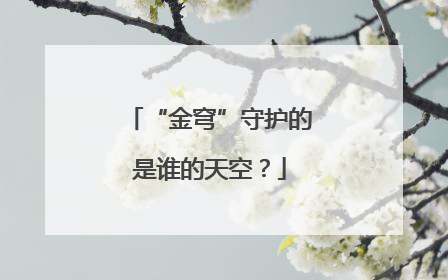 “金穹”守护的是谁的天空？