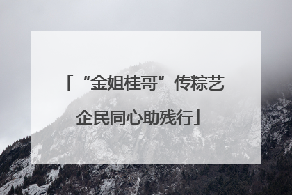 “金姐桂哥”传粽艺 企民同心助残行