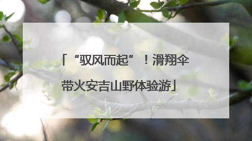 “驭风而起”！滑翔伞带火安吉山野体验游