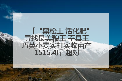 “黑松土 活化肥”寻找最美粮王 莘县王巧英小麦实打实收亩产1515.4斤 超对照田144斤！
