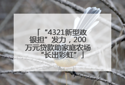 “4321新型政银担”发力，200万元贷款助家庭农场“长出彩虹”