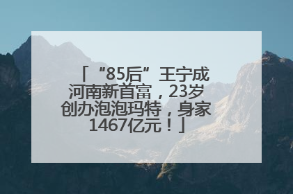 “85后”王宁成河南新首富，23岁创办泡泡玛特，身家1467亿元！